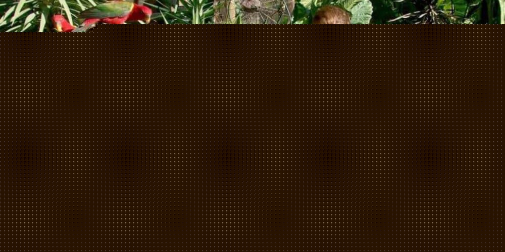 South Africa - African Wildlife Ranch Internship22
